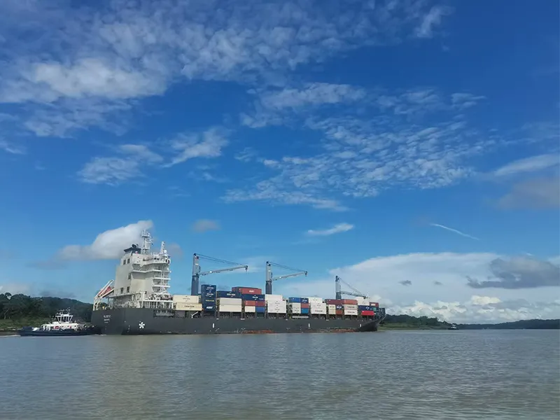 Soluciones de Diésel Marino
