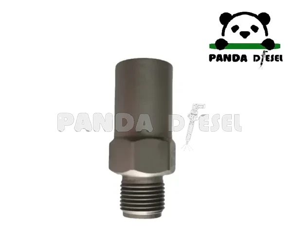Válvula limitadora de alivio de presión de combustible 1110010033 para Bosch Renault Cummins F00R000756 5001858409 5001585409 5001853012